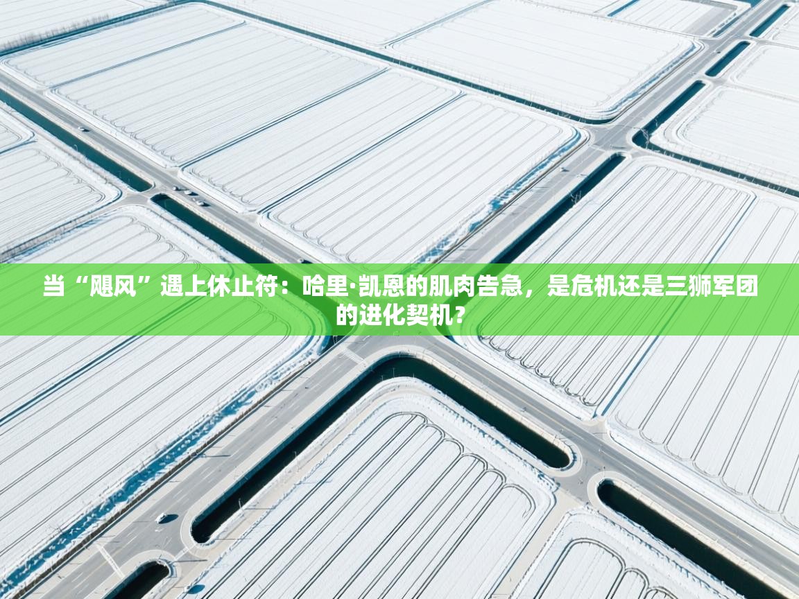 当“飓风”遇上休止符：哈里·凯恩的肌肉告急，是危机还是三狮军团的进化契机？