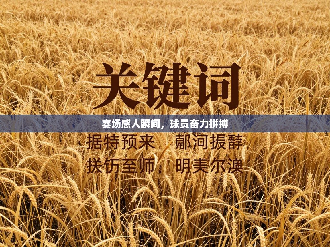 赛场感人瞬间，球员奋力拼搏  第1张