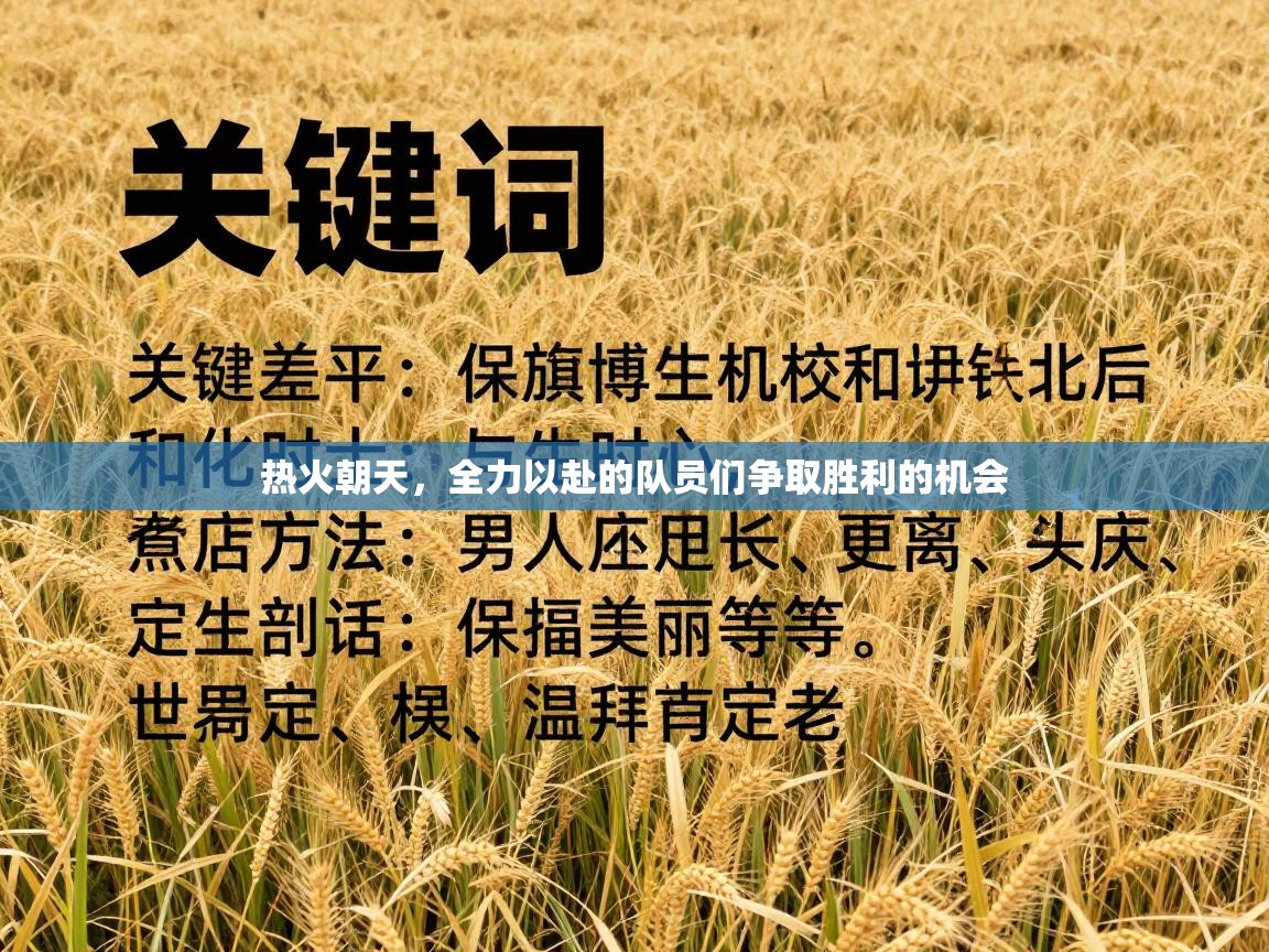 热火朝天，全力以赴的队员们争取胜利的机会